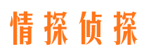 鸠江外遇出轨调查取证